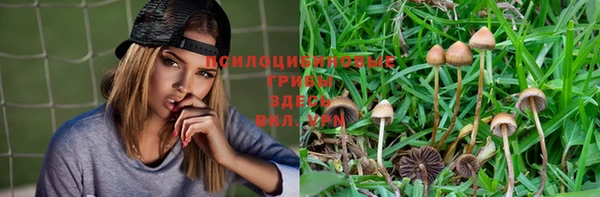 mdma Верхний Тагил